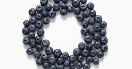 Bilberry Extract | 300mg